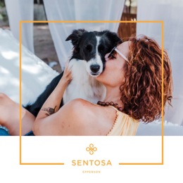Furry friends are always welcome here! 🐾❤️ Discover the pet-friendly paradise at Sentosa Epperson. Spacious floor plans, a pet-friendly community, and plenty of green spaces for your pets to play. Instagram post from @sentosaepperson on July 16, 2024 11:51:20am